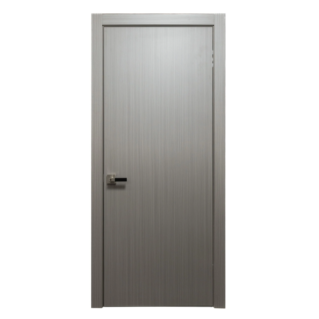 Modern interior door YL-E