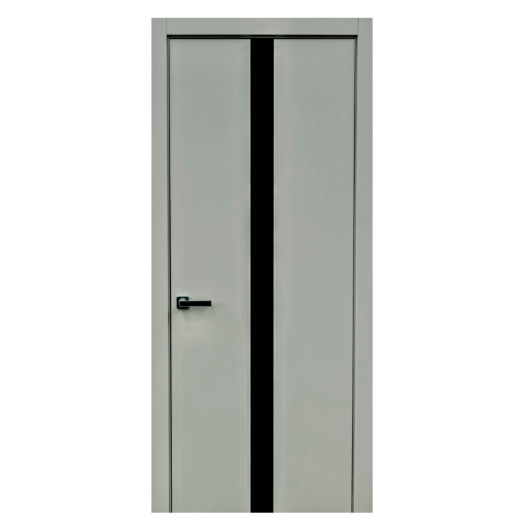 Modern interior door YL-F grey with black glass