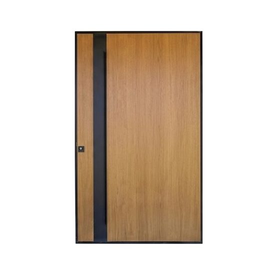 Pivot Security Door